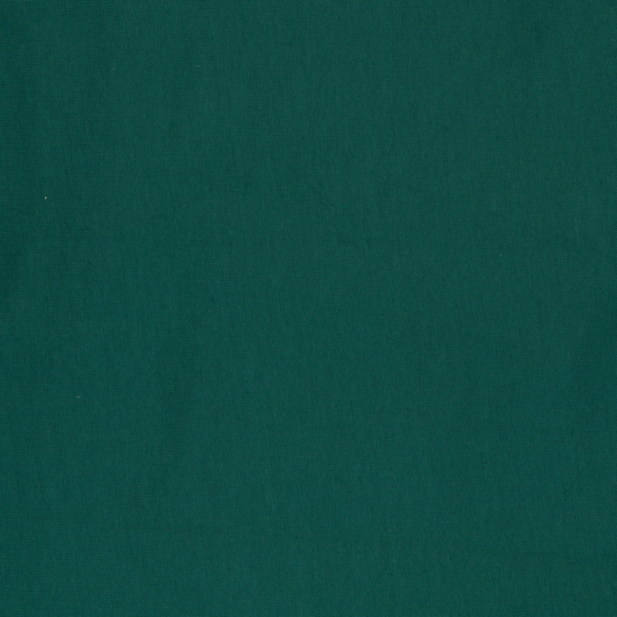 Short Gaucho Cotton