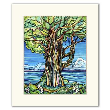 Enchanted Banyan - Colleen Wilcox Print