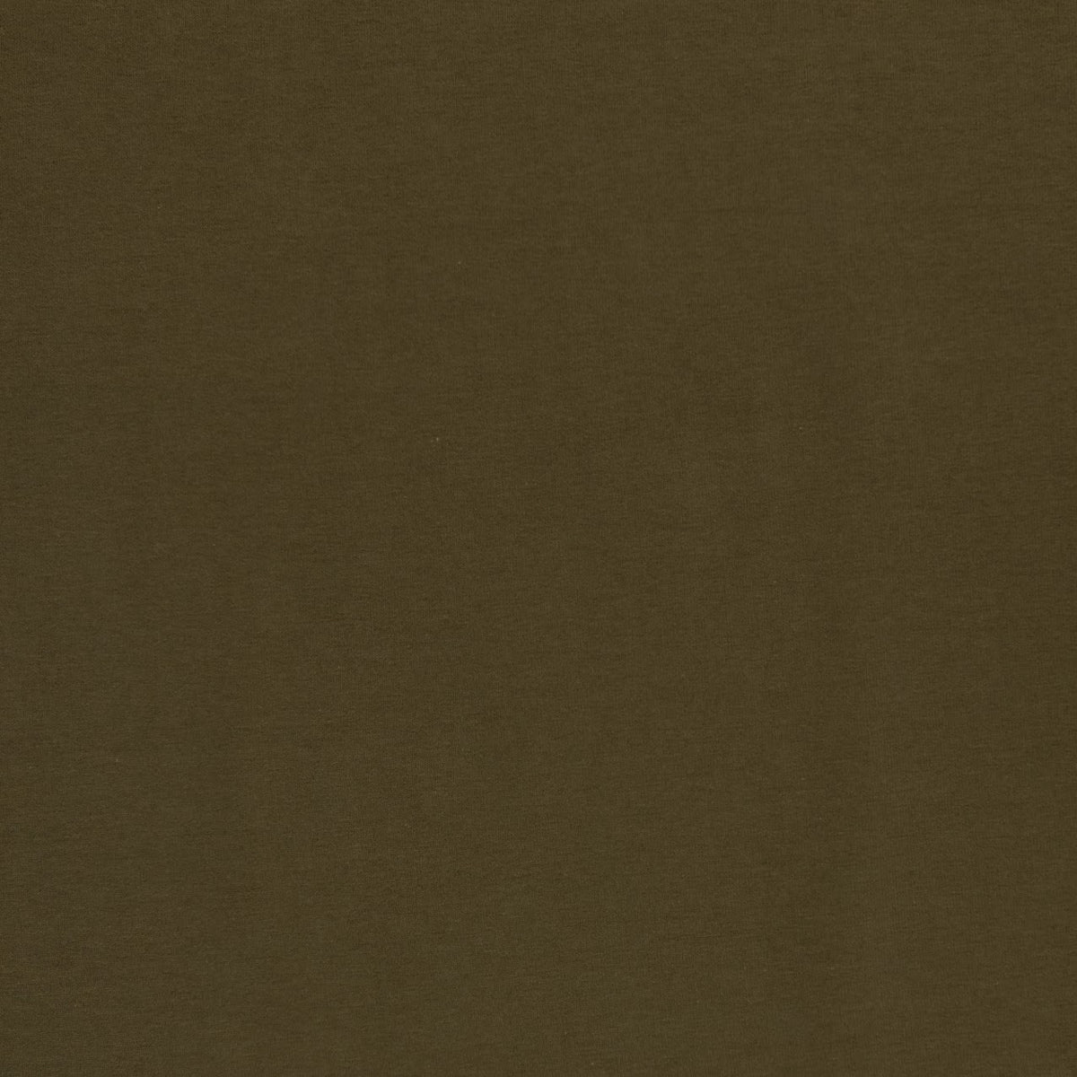 Short Sleeve Grace Top Long